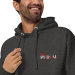 unisex-premium-hoodie-charcoal-heather-zoomed-in-2-62e56c541b42e.jpg