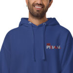 unisex-premium-hoodie-team-royal-zoomed-in-62e56c541d7d5.jpg